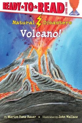 Volcano! by Bauer, Marion Dane