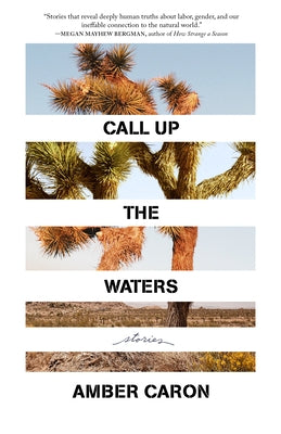 Call Up the Waters: Stories by Caron, Amber