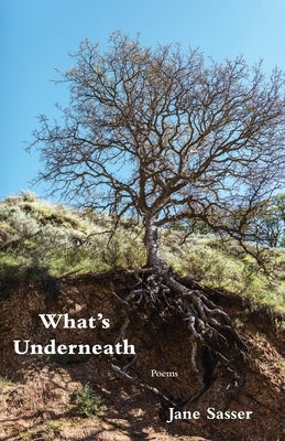 What's Underneath by Sasser, Jane