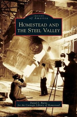 Homestead and the Steel Valley by Burns, Daniel J.