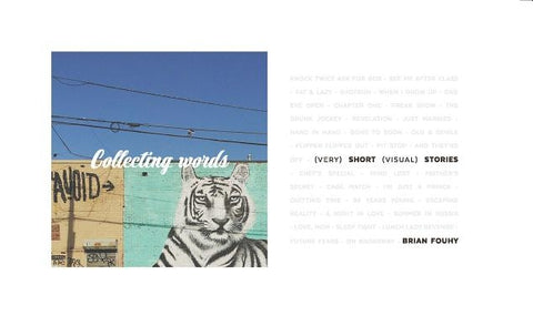 Collecting Words: Short Visual Stories by Fouhy, Brian