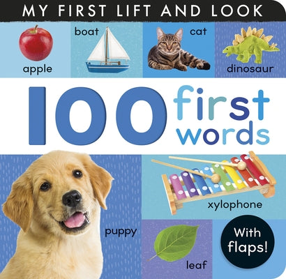 100 First Words: My First Lift and Look by Cox, Hettie