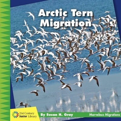 Arctic Tern Migration by Gray, Susan H.