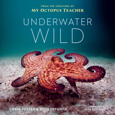 Underwater Wild: My Octopus Teacher's Extraordinary World by Foster, Craig