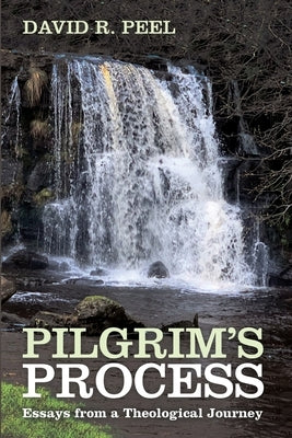 Pilgrim's Process by Peel, David R.