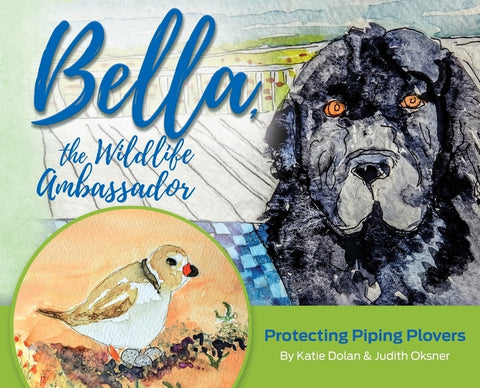 Bella, the Wildlife Ambassador: Protecting Piping Plovers by Dolan, Katherine