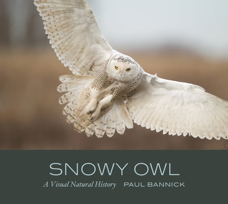 Snowy Owl: A Visual Natural History by Bannick, Paul