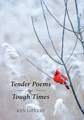 Tender Poems for Tough Times by Lievers, Ken