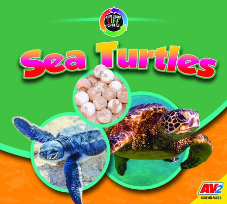 Sea Turtles by Carr, Aaron