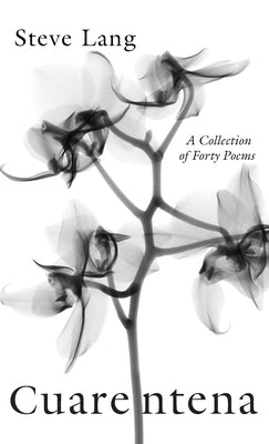Cuarentena by Lang, Steve