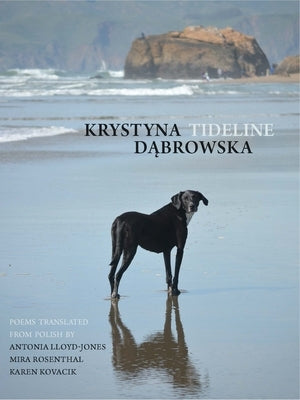 Tideline by D&#261;browska, Krystyna