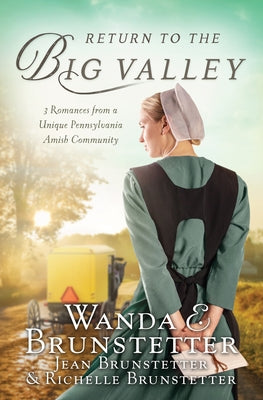 The Return to the Big Valley by Brunstetter, Wanda E.