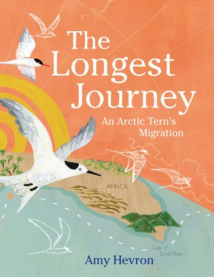 The Longest Journey: An Arctic Tern's Migration by Hevron, Amy