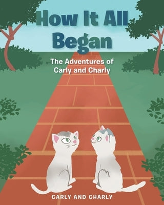 How it All Began by Carly