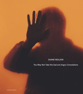 You May Not Take the Sad and Angry Consolations by Neilson, Shane