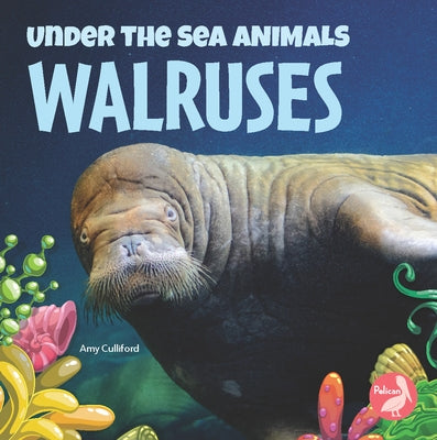 Walruses by Culliford, Amy