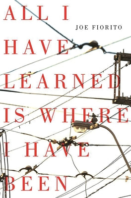 All I Have Learned Is Where I Have Been by Fiorito, Joe