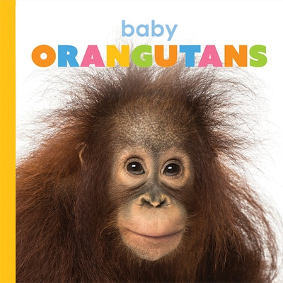 Baby Orangutans by Riggs, Kate