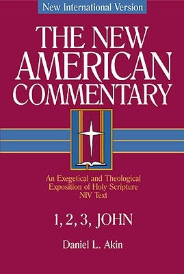 1,2,3 John by Akin, Daniel L.