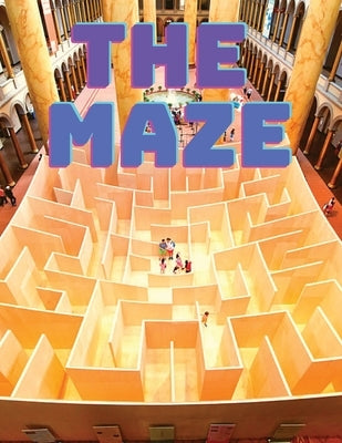 Maze Puzzles Book by Exotic Publisher