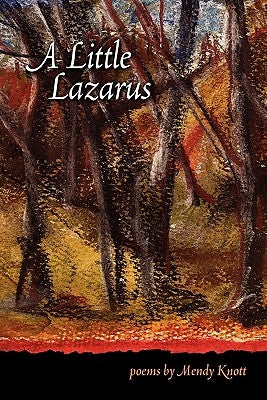A Little Lazarus by Knott, Mendy