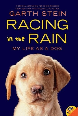 Racing in the Rain: My Life as a Dog by Stein, Garth