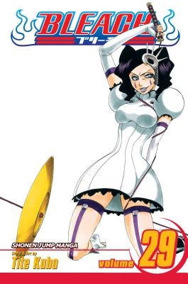 Bleach, Volume 29 by Kubo, Tite