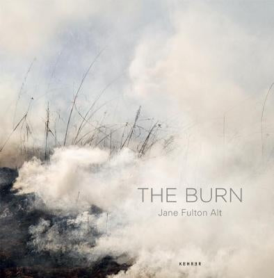 The Burn by Fulton Alt, Jane