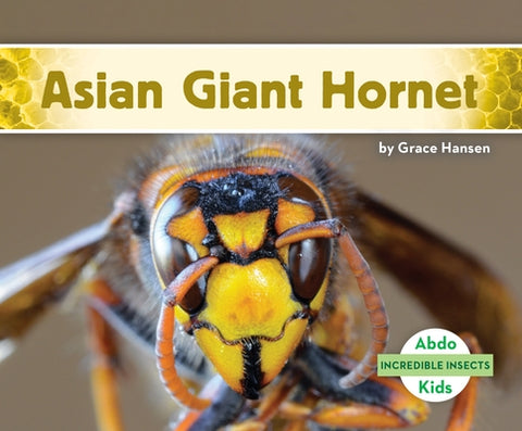 Asian Giant Hornet by Hansen, Grace