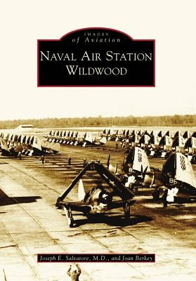 Naval Air Station Wildwood by Berkey, Joan