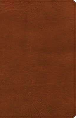 CSB Thinline Reference Bible, Burnt Sienna Leathertouch by Csb Bibles by Holman