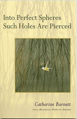 Into Perfect Spheres Such Holes Are Pierced by Barnett, Catherine