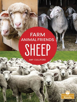 Sheep by Culliford, Amy