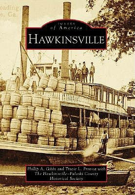 Hawkinsville by Gibbs, Phillip