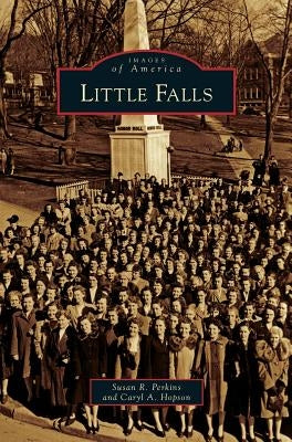 Little Falls by Perkins, Susan R.
