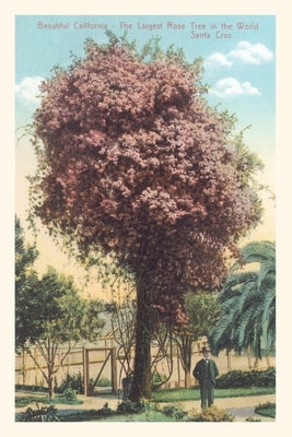 Vintage Journal Rose Trees, Santa Cruz by Found Image Press