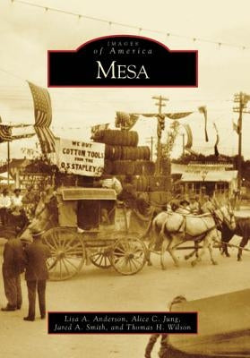Mesa by Anderson, Lisa A.