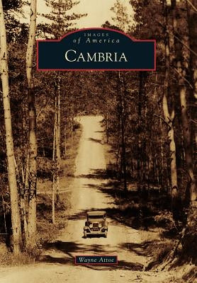 Cambria by Attoe, Wayne