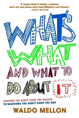What's What and What to Do about It by Mellon, Waldo