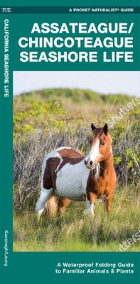 Assateague/Chincoteague Seashore Life: A Waterproof Folding Guide to Familiar Animals & Plants by Kavanagh, James