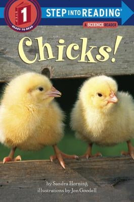 Chicks! by Horning, Sandra