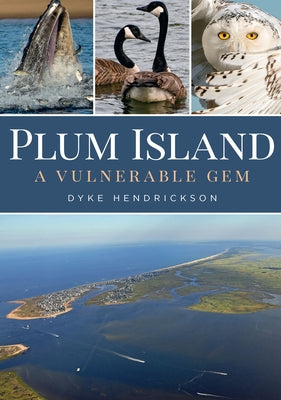 Plum Island: A Vulnerable Gem by Hendrickson, Dyke