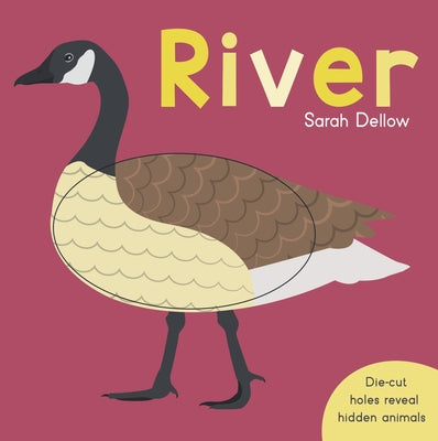 Now You See It! River by Dellow, Sarah