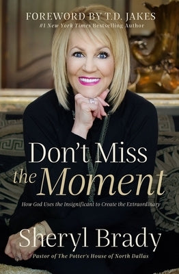 Don't Miss the Moment: How God Uses the Insignificant to Create the Extraordinary by Brady, Sheryl