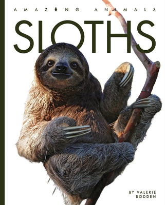 Sloths by Bodden, Valerie