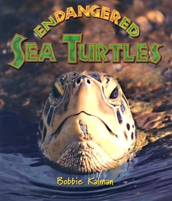 Endangered Sea Turtles by Kalman, Bobbie