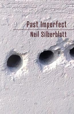 Past Imperfect by Silberblatt, Neil