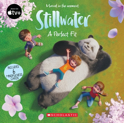 A Perfect Fit (Stillwater Storybook) by Rusu, Meredith