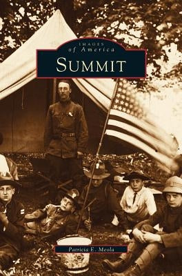 Summit: Wish You Were Here by Meola, Patricia E.