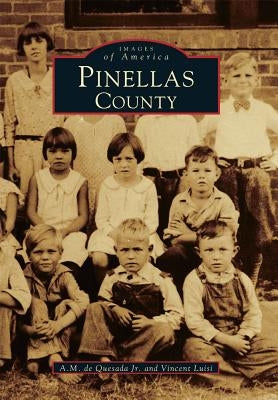 Pinellas County by De Quesada Jr, A. M.